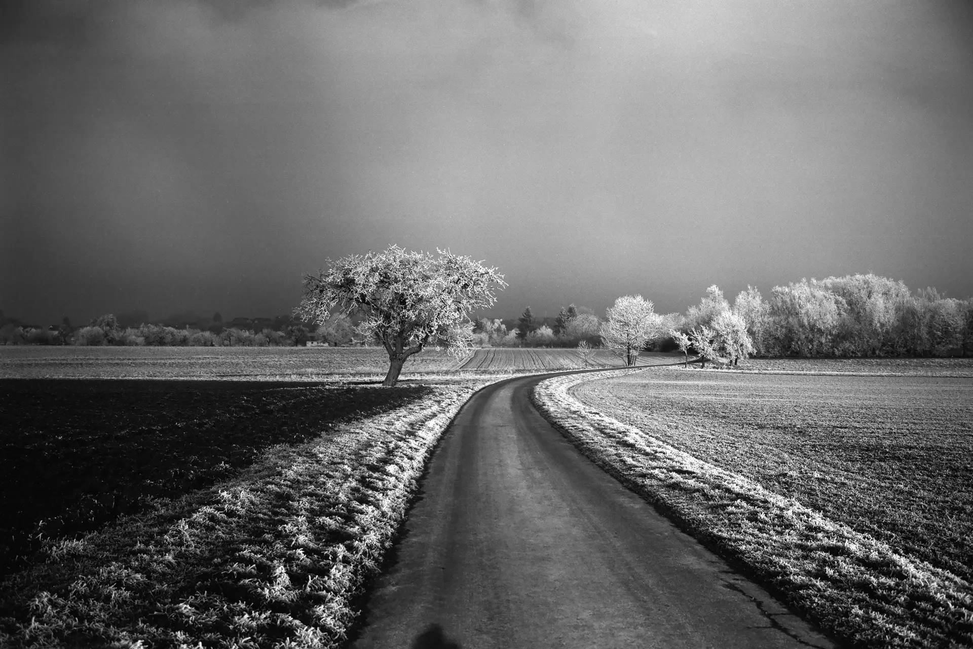 Leica_Monopan_50_Inspiration_3840x2560_03_0.jpg